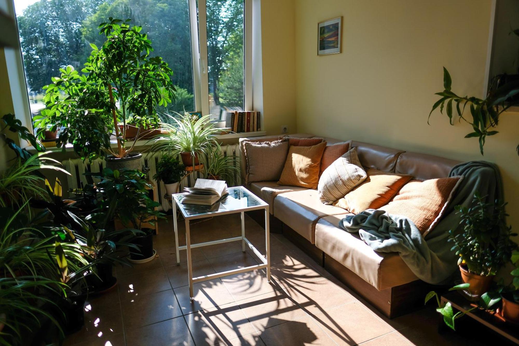 Hostel Nele *